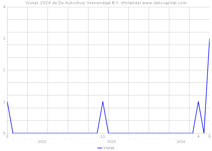Visitas 2024 de De Autoshop Veenendaal B.V. (Holanda) 