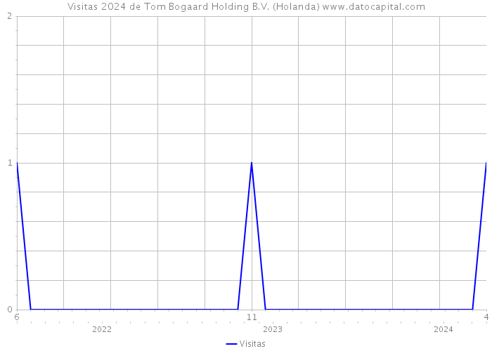 Visitas 2024 de Tom Bogaard Holding B.V. (Holanda) 