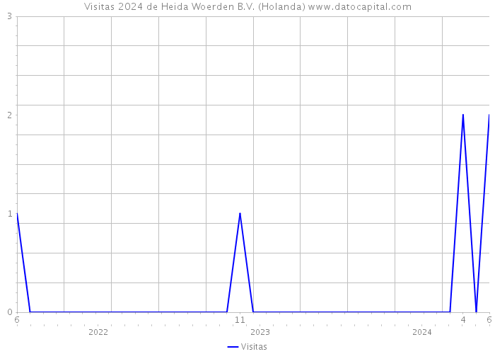 Visitas 2024 de Heida Woerden B.V. (Holanda) 