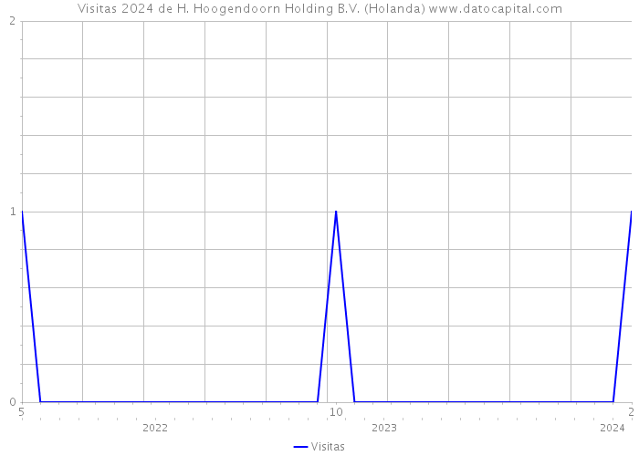 Visitas 2024 de H. Hoogendoorn Holding B.V. (Holanda) 