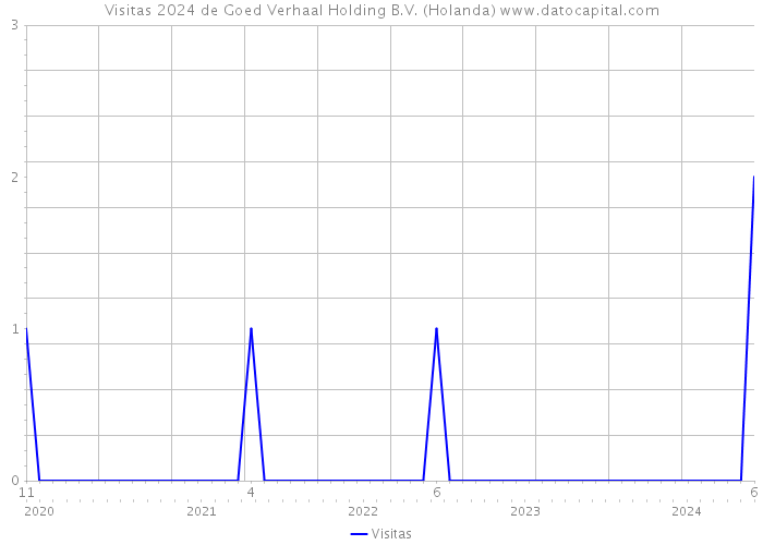 Visitas 2024 de Goed Verhaal Holding B.V. (Holanda) 