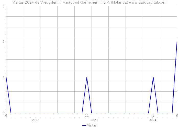 Visitas 2024 de Vreugdenhil Vastgoed Gorinchem II B.V. (Holanda) 