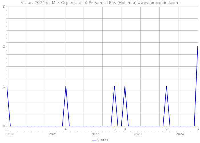 Visitas 2024 de Mits Organisatie & Personeel B.V. (Holanda) 