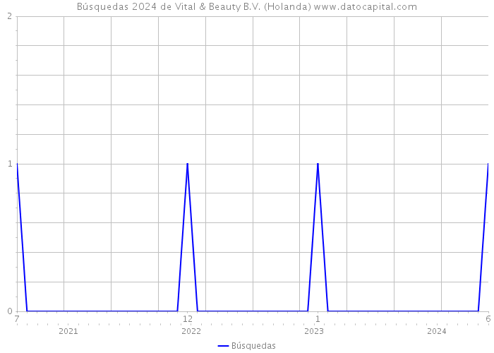 Búsquedas 2024 de Vital & Beauty B.V. (Holanda) 