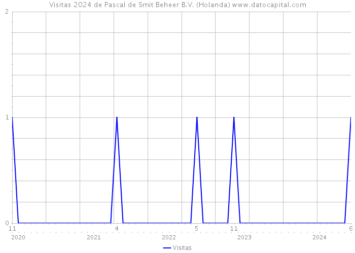 Visitas 2024 de Pascal de Smit Beheer B.V. (Holanda) 