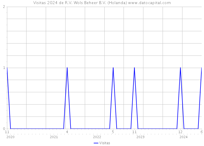 Visitas 2024 de R.V. Wols Beheer B.V. (Holanda) 