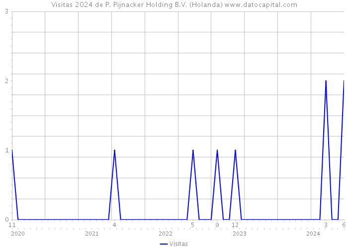 Visitas 2024 de P. Pijnacker Holding B.V. (Holanda) 