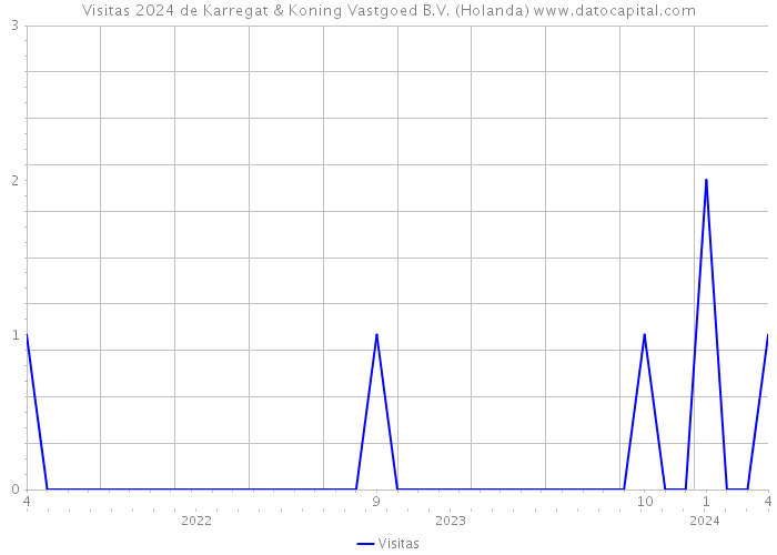 Visitas 2024 de Karregat & Koning Vastgoed B.V. (Holanda) 