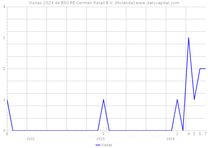 Visitas 2024 de BSG RE German Retail B.V. (Holanda) 