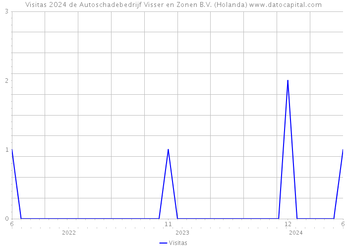 Visitas 2024 de Autoschadebedrijf Visser en Zonen B.V. (Holanda) 