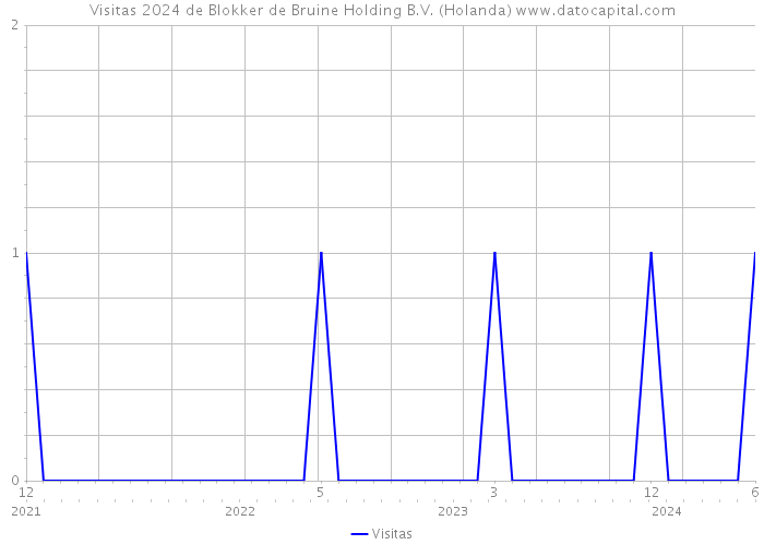 Visitas 2024 de Blokker de Bruine Holding B.V. (Holanda) 
