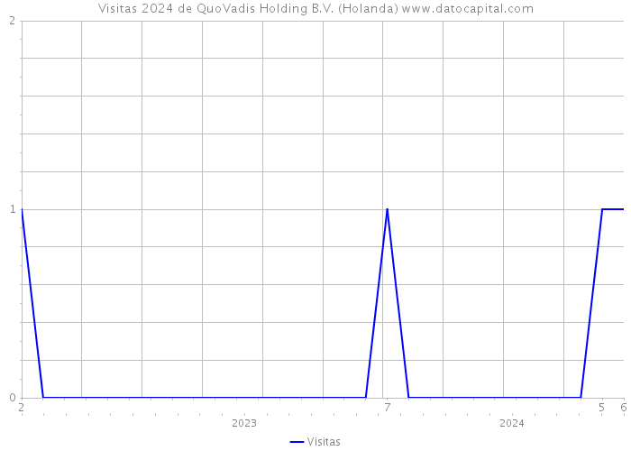 Visitas 2024 de QuoVadis Holding B.V. (Holanda) 