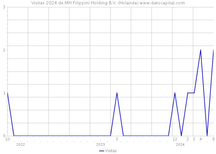 Visitas 2024 de MH Filippini Holding B.V. (Holanda) 