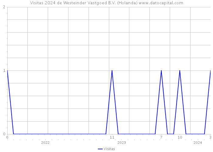 Visitas 2024 de Westeinder Vastgoed B.V. (Holanda) 