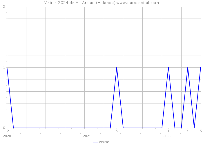 Visitas 2024 de Ali Arslan (Holanda) 