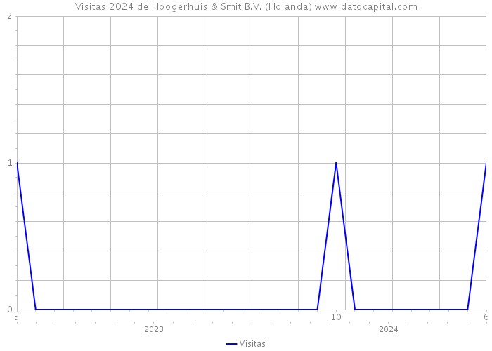 Visitas 2024 de Hoogerhuis & Smit B.V. (Holanda) 