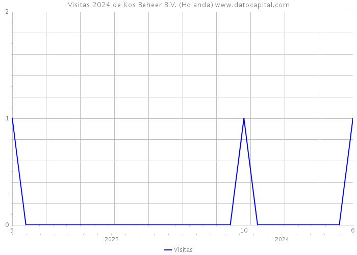 Visitas 2024 de Kos Beheer B.V. (Holanda) 