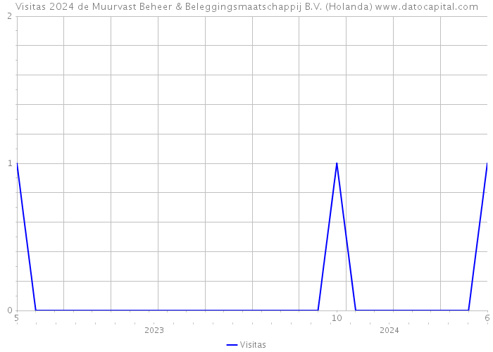 Visitas 2024 de Muurvast Beheer & Beleggingsmaatschappij B.V. (Holanda) 