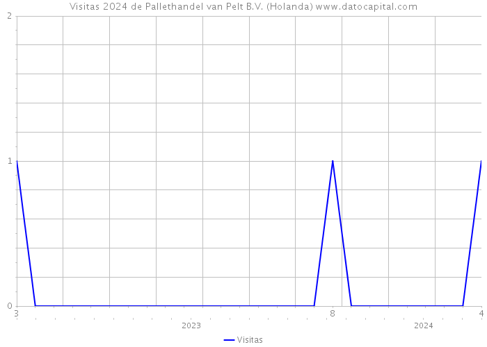 Visitas 2024 de Pallethandel van Pelt B.V. (Holanda) 