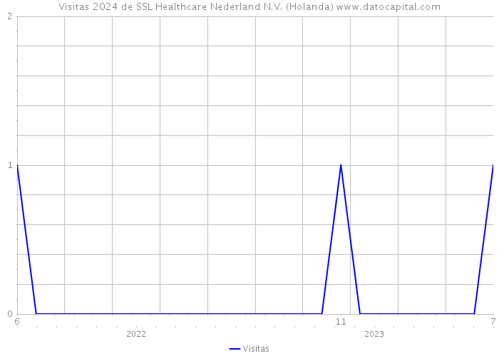 Visitas 2024 de SSL Healthcare Nederland N.V. (Holanda) 