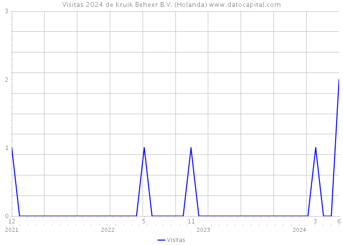 Visitas 2024 de Kruik Beheer B.V. (Holanda) 