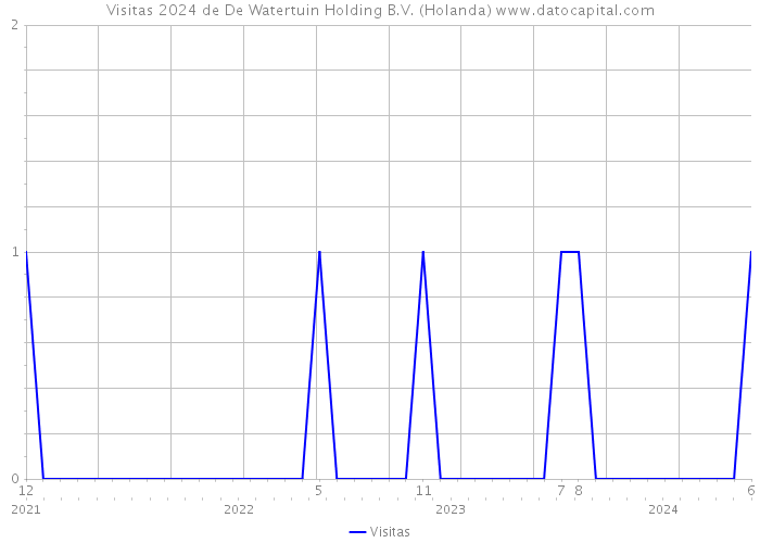Visitas 2024 de De Watertuin Holding B.V. (Holanda) 