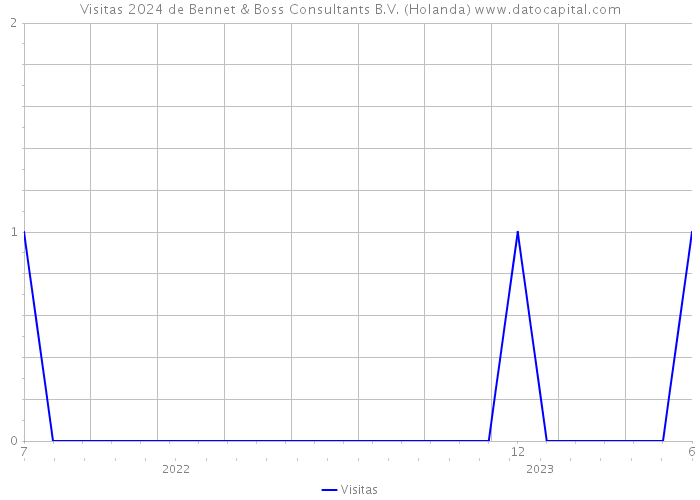 Visitas 2024 de Bennet & Boss Consultants B.V. (Holanda) 