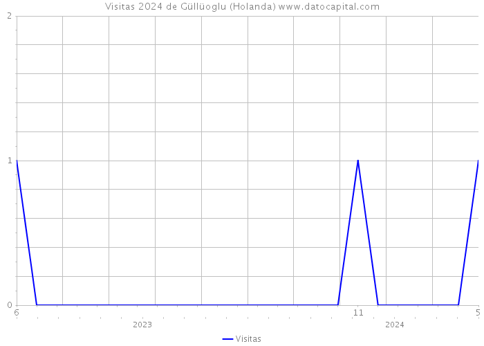 Visitas 2024 de Güllüoglu (Holanda) 