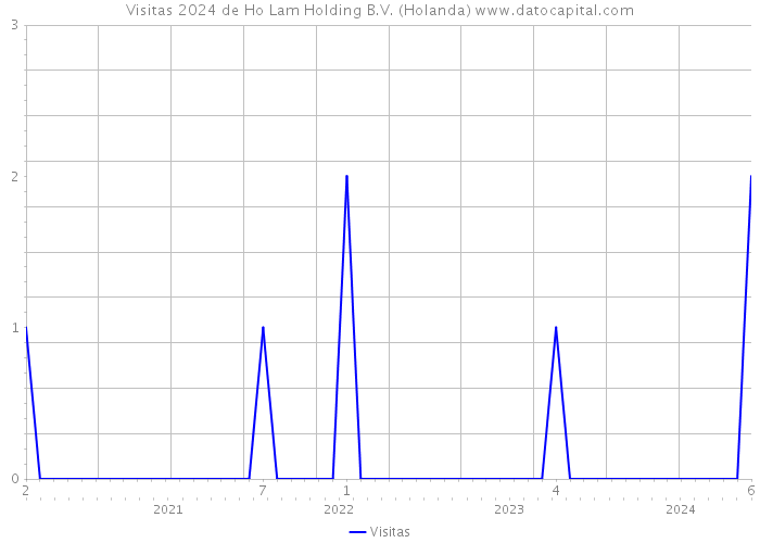 Visitas 2024 de Ho Lam Holding B.V. (Holanda) 