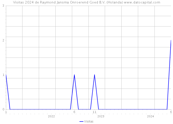 Visitas 2024 de Raymond Jansma Onroerend Goed B.V. (Holanda) 