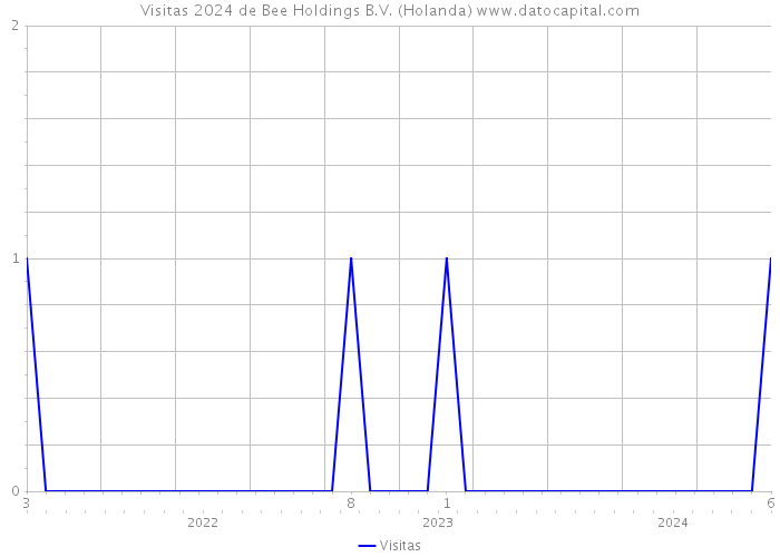 Visitas 2024 de Bee Holdings B.V. (Holanda) 