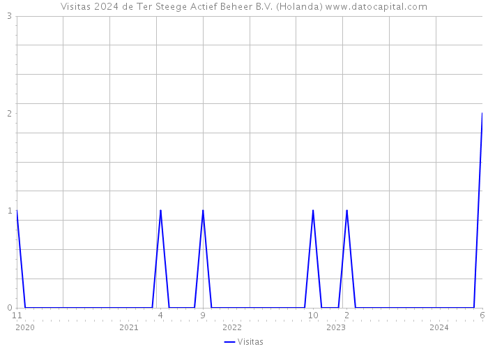 Visitas 2024 de Ter Steege Actief Beheer B.V. (Holanda) 