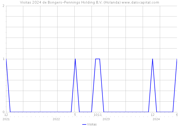 Visitas 2024 de Bongers-Pennings Holding B.V. (Holanda) 