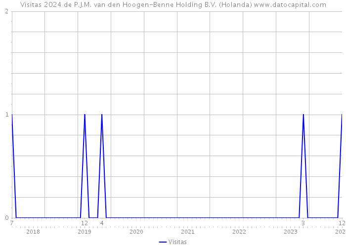 Visitas 2024 de P.J.M. van den Hoogen-Benne Holding B.V. (Holanda) 
