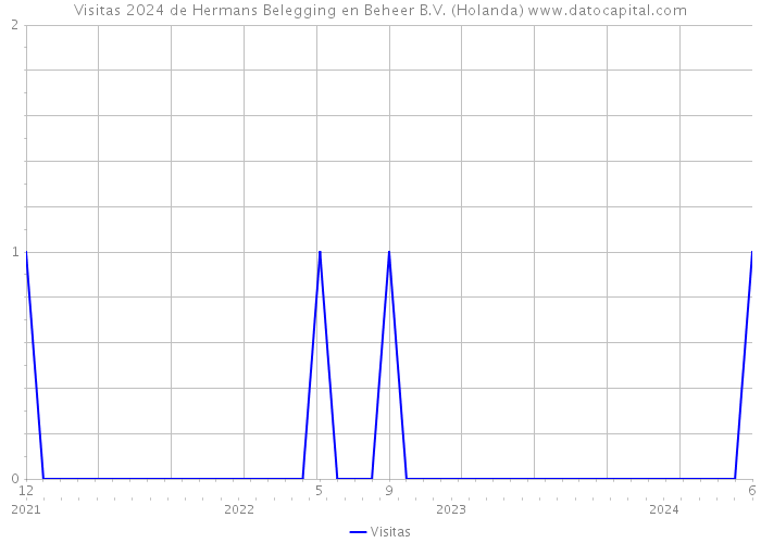 Visitas 2024 de Hermans Belegging en Beheer B.V. (Holanda) 