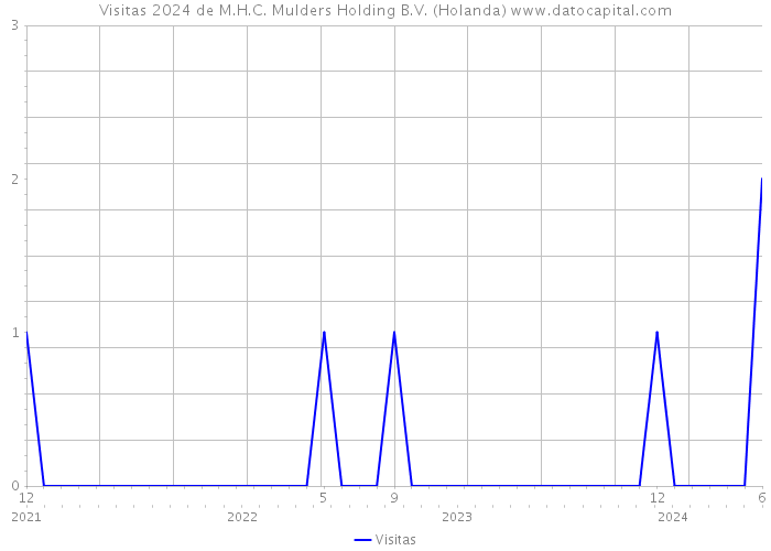 Visitas 2024 de M.H.C. Mulders Holding B.V. (Holanda) 