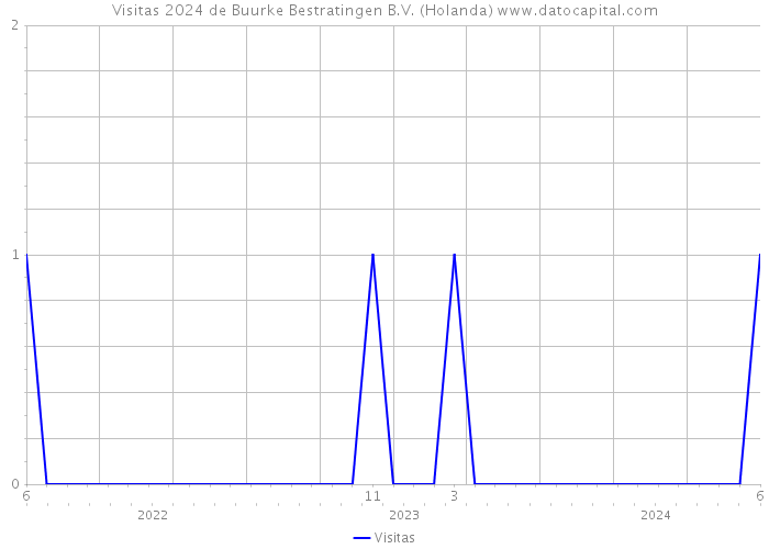 Visitas 2024 de Buurke Bestratingen B.V. (Holanda) 
