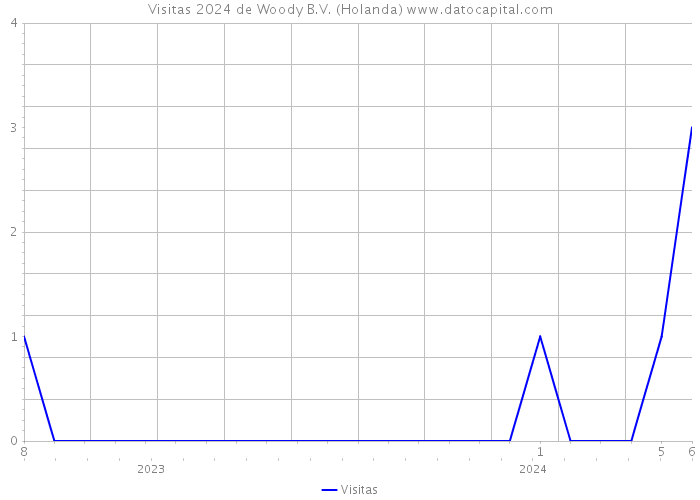 Visitas 2024 de Woody B.V. (Holanda) 