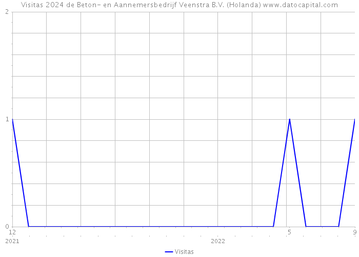 Visitas 2024 de Beton- en Aannemersbedrijf Veenstra B.V. (Holanda) 