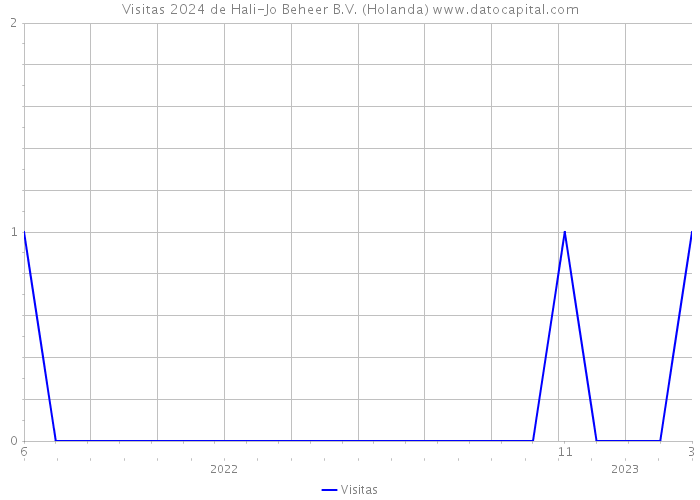 Visitas 2024 de Hali-Jo Beheer B.V. (Holanda) 