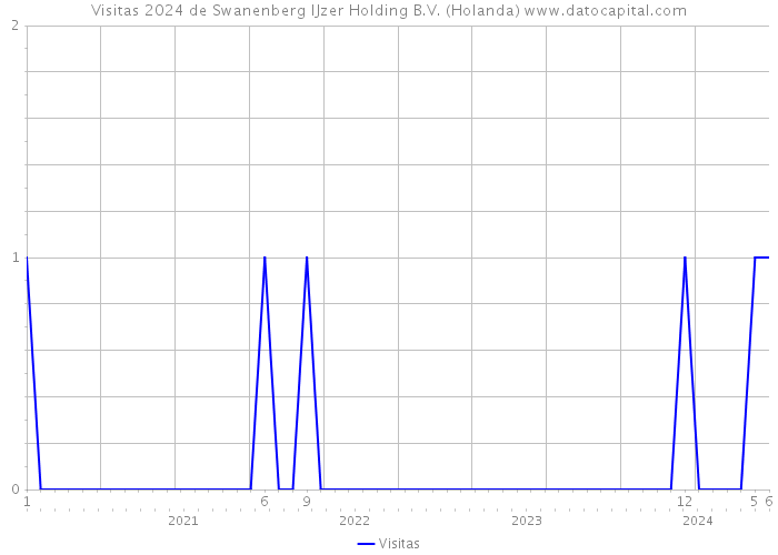 Visitas 2024 de Swanenberg IJzer Holding B.V. (Holanda) 