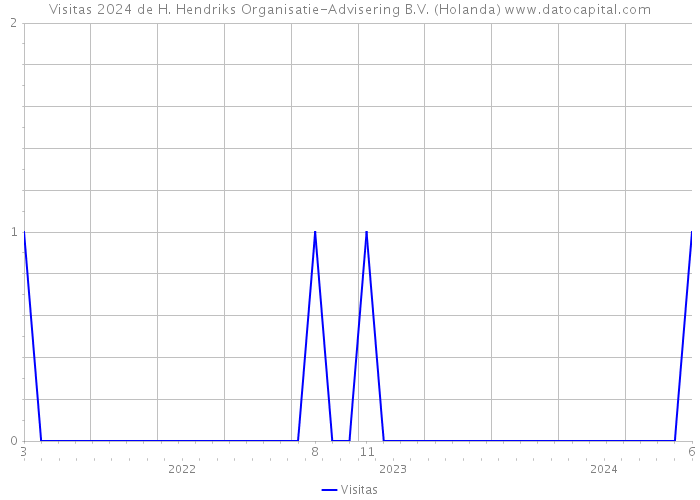 Visitas 2024 de H. Hendriks Organisatie-Advisering B.V. (Holanda) 