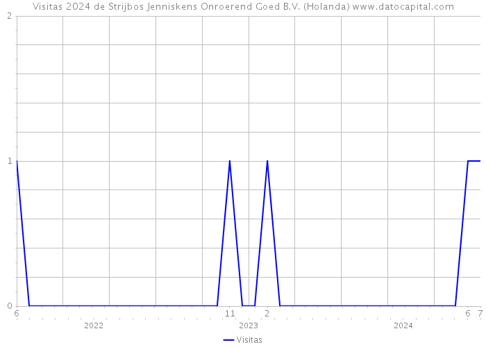 Visitas 2024 de Strijbos Jenniskens Onroerend Goed B.V. (Holanda) 