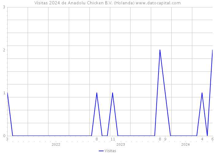 Visitas 2024 de Anadolu Chicken B.V. (Holanda) 