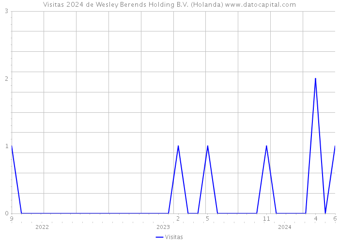 Visitas 2024 de Wesley Berends Holding B.V. (Holanda) 