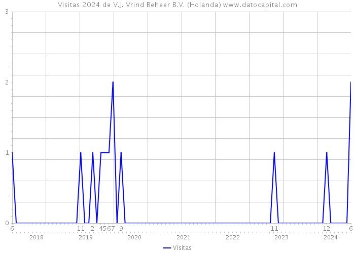 Visitas 2024 de V.J. Vrind Beheer B.V. (Holanda) 