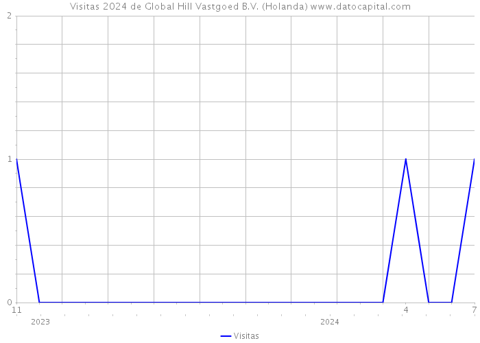 Visitas 2024 de Global Hill Vastgoed B.V. (Holanda) 