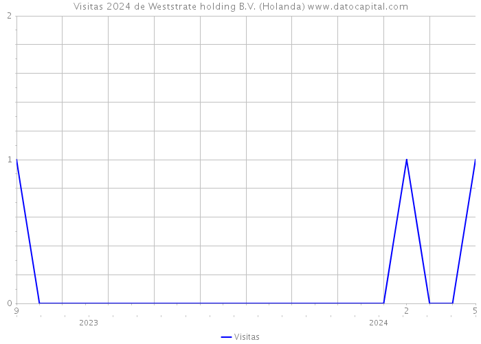 Visitas 2024 de Weststrate holding B.V. (Holanda) 