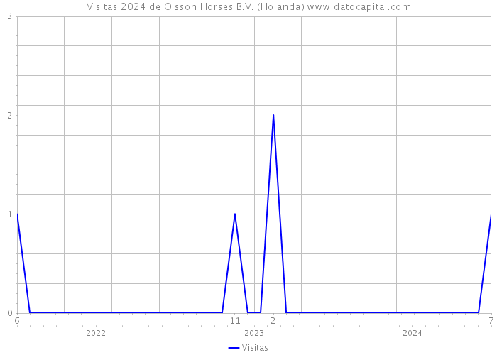 Visitas 2024 de Olsson Horses B.V. (Holanda) 