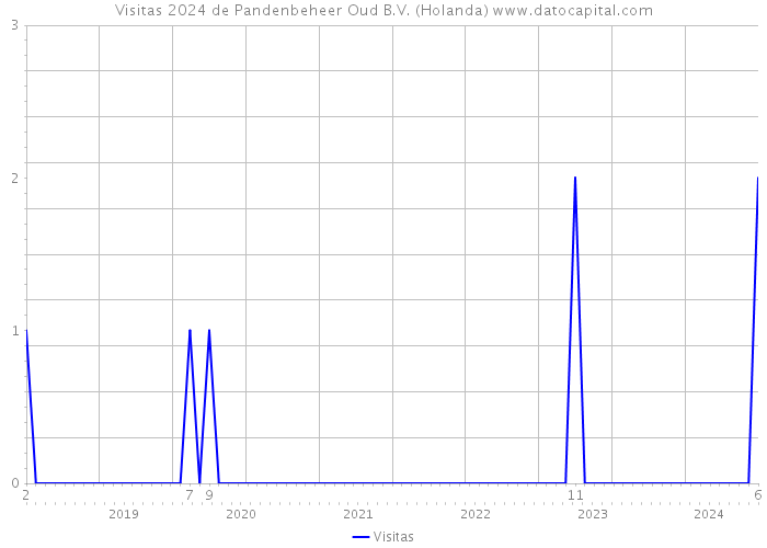 Visitas 2024 de Pandenbeheer Oud B.V. (Holanda) 